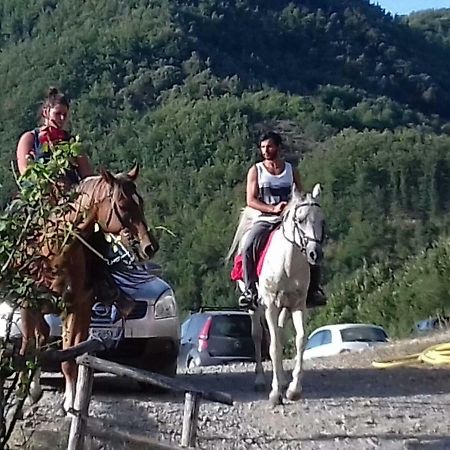 Le Chianine Dei Tognoli Villa Gragnola Bagian luar foto
