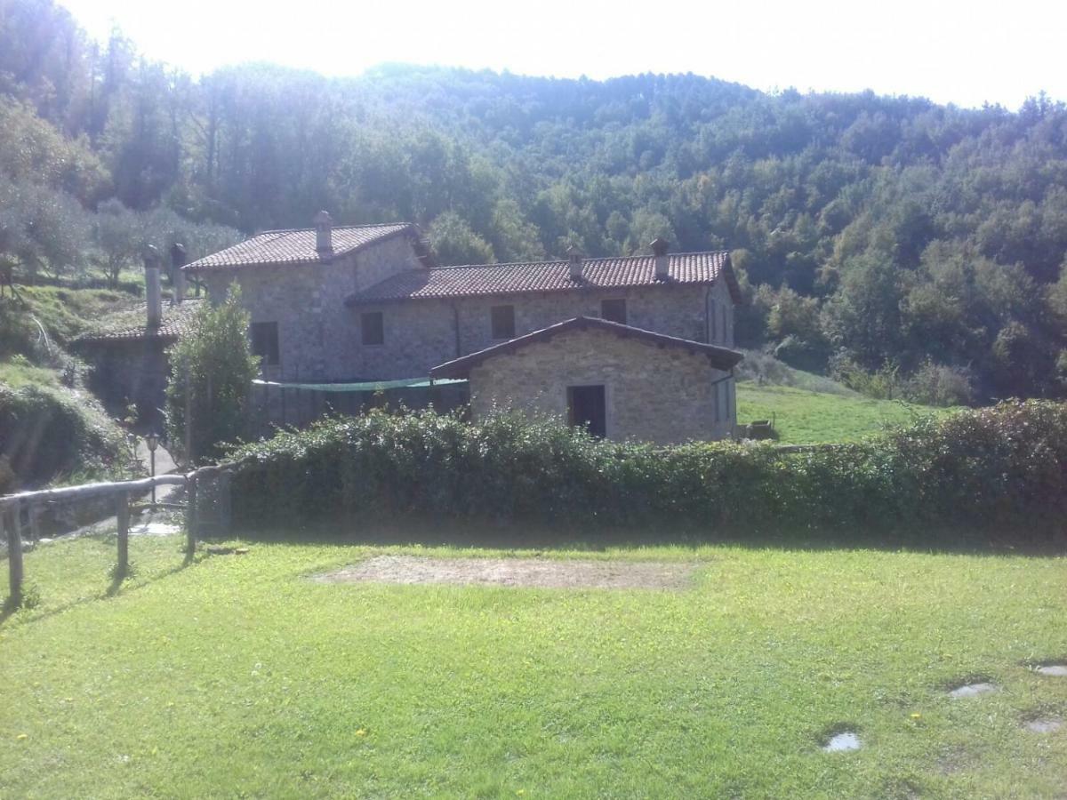 Le Chianine Dei Tognoli Villa Gragnola Bagian luar foto