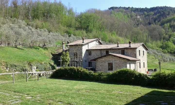 Le Chianine Dei Tognoli Villa Gragnola Bagian luar foto