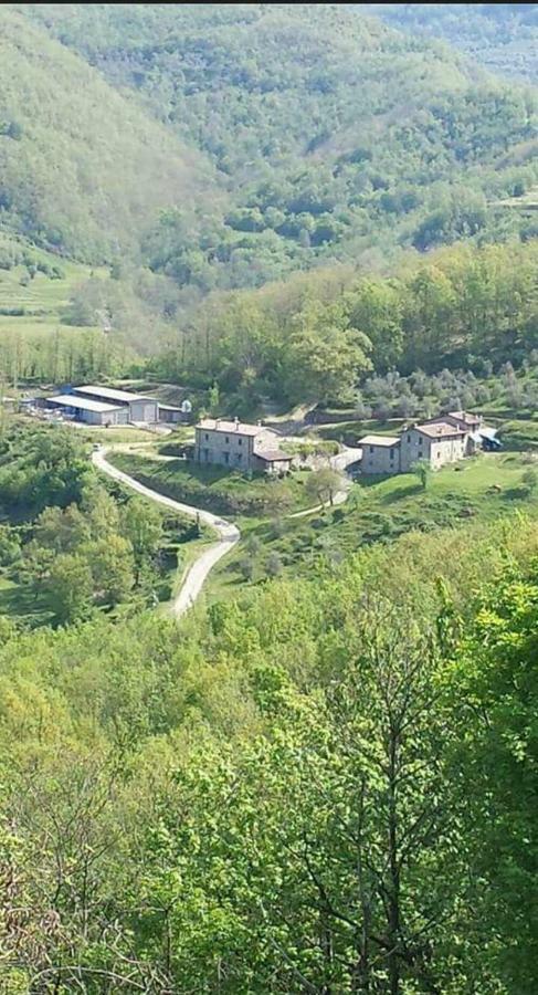 Le Chianine Dei Tognoli Villa Gragnola Bagian luar foto